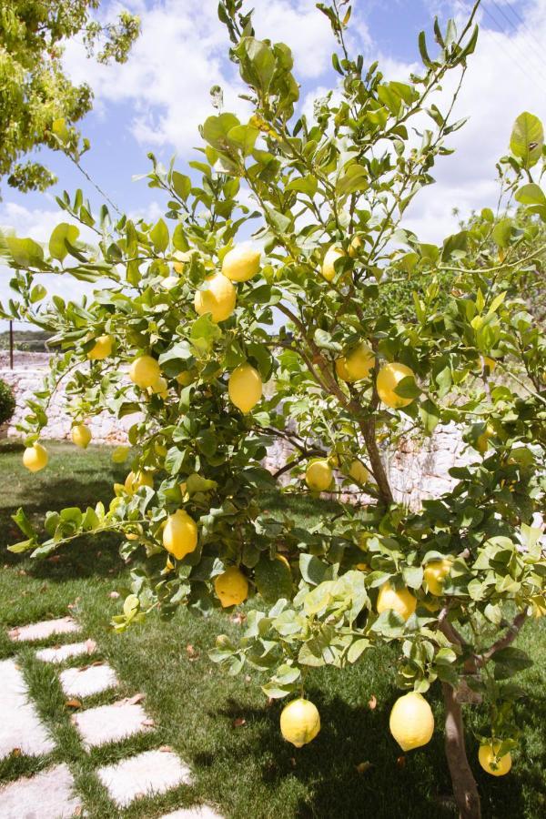 Bed and Breakfast Casa Azzurra Ostuni Zewnętrze zdjęcie